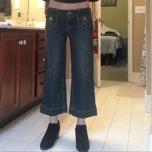 Banana Republic Wide Leg Capris